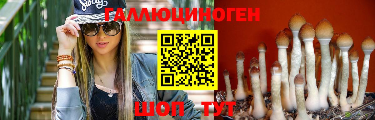 Александров  Галлюциногенные грибы Psilocybine cubensis  Вход с VPN  где найти наркотики  Галлюциногенные грибы Psilocybe 